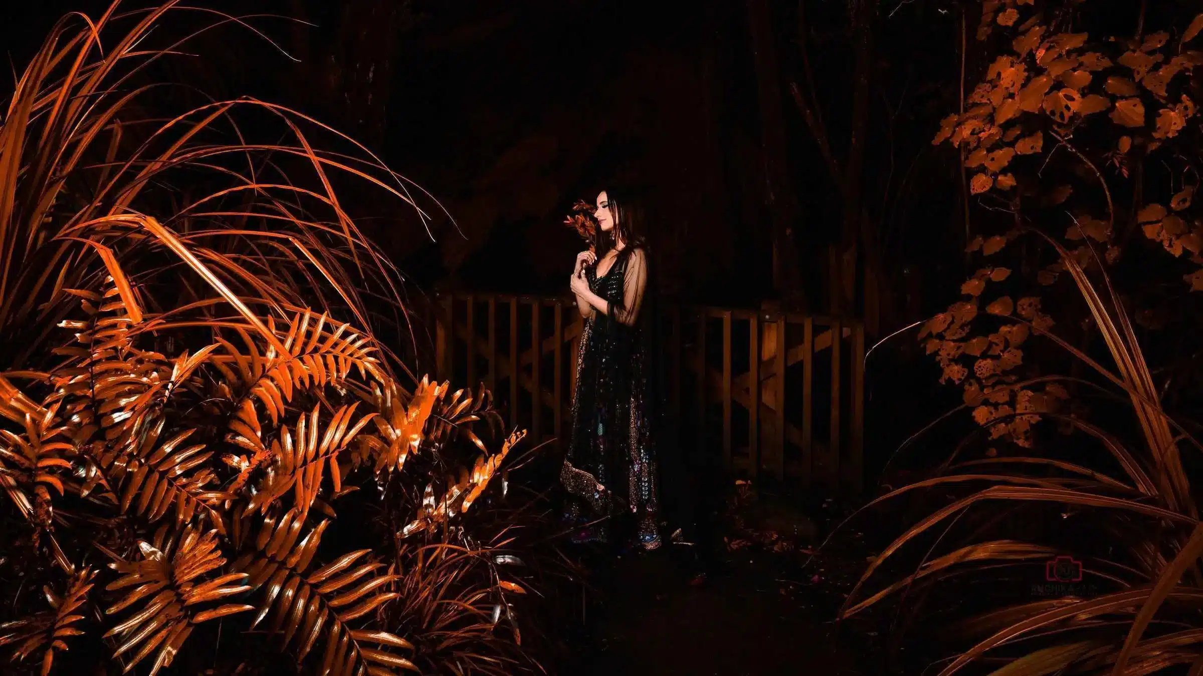 Professional headshot of a business executive taken by a top Wellington portrait photographer